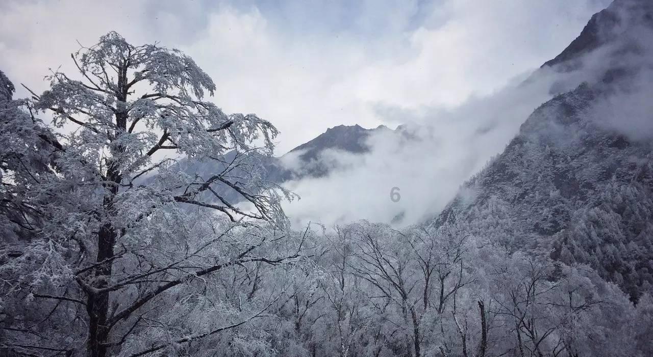 邯郸体育学院-全方位有问必答平台